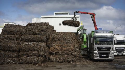 Planta de biomasa de Greenalia en el concello coruñés de Teixeiro