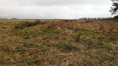 Os túmulos funerarios están na Serra do Rañadoiro de Baralla