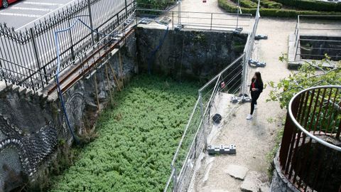 Desprendimientos en un lateral del estanque de la Gruta en el 2017 aceleraron el proyecto de rehabilitación del parque