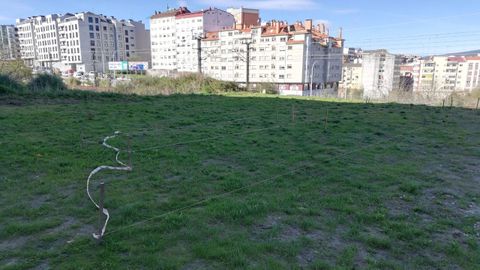 Terrenos donde se ubicará la nueva huerta urbana, en el entorno de la calle Ernesto Caballero