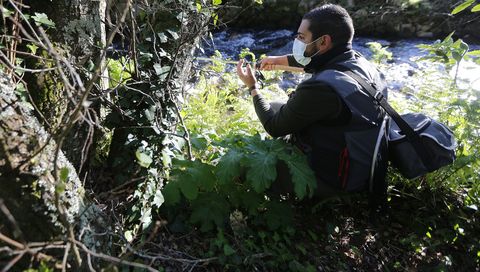 Un pescador en el río Armenteira, afluente del Umia