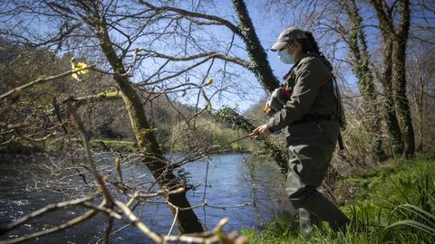 Una pescadora, en Chaián, en el río Tambre