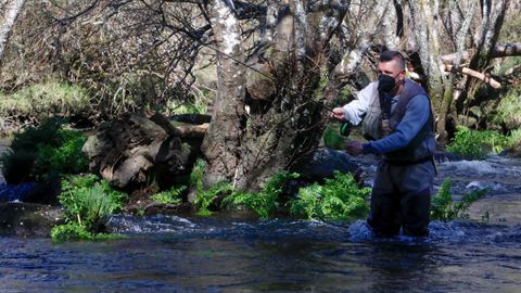 Pescador, en un tramo del río Naria, en Lugo