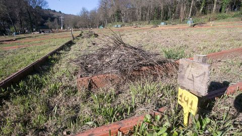 Entrega de material para os hortos urbanos da Deputación de Lugo no Paseo do Rato