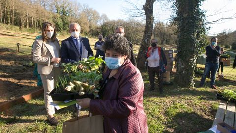 Entrega de material para os hortos urbanos da Deputación de Lugo no Paseo do Rato