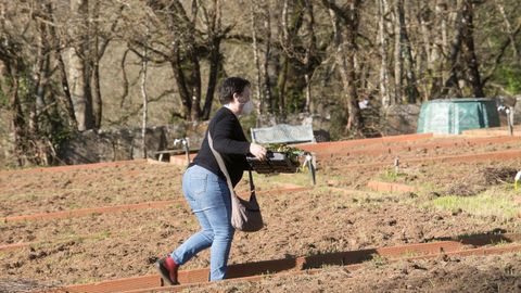 Entrega de material para os hortos urbanos da Deputación de Lugo no Paseo do Rato