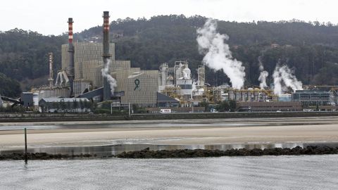 Factoría de Ence en Lourizán, en la ría de Pontevedra