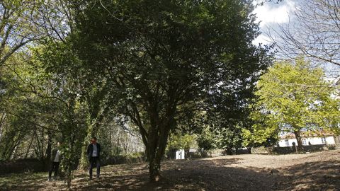 Visitamos el pazo de Goians