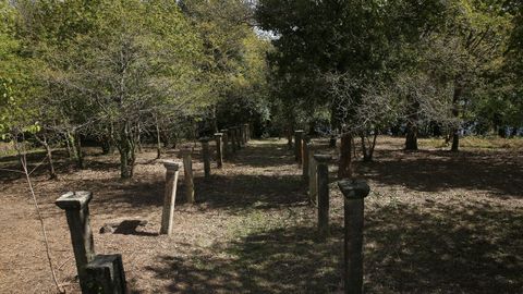 Los alumnos trabajarán en la finca de Goiáns