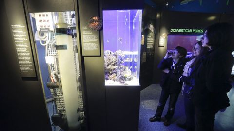 Imagen de archivo del acuario