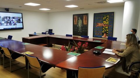 La alcaldesa de Narón, en la reunión telemática con el vicepresidente de la Xunta y otros regidores