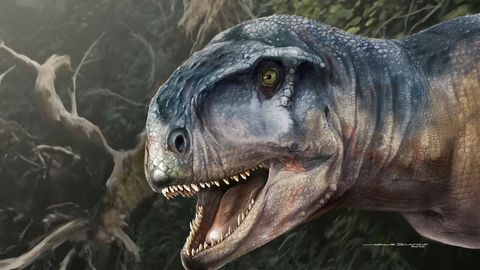 Recreación artística del dinosaurio carnívoro