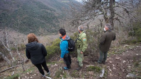 Grupo de agentes realizando tareas de observación