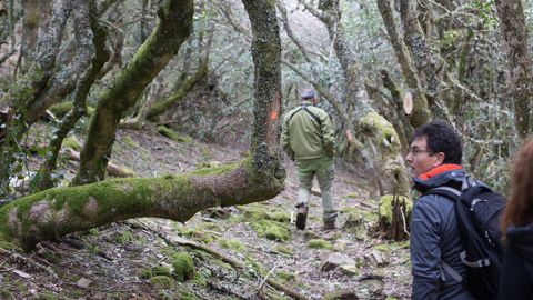 Bosque dentro de la reserva
