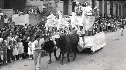 Imagen de la Batalla de Flores