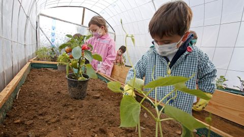 Voz Natura en el colegio Torre-Cela de Bueu