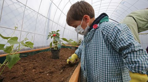 Voz Natura en el colegio Torre-Cela de Bueu