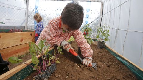 Voz Natura en el colegio Torre-Cela de Bueu
