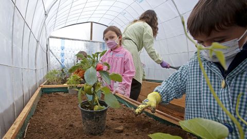 Voz Natura en el colegio Torre-Cela de Bueu