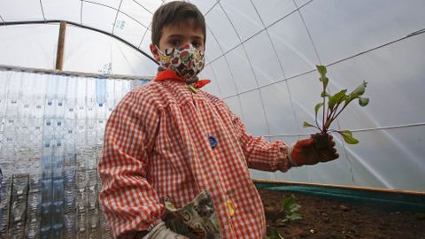 Voz Natura en el colegio Torre-Cela de Bueu