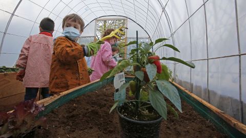 Voz Natura en el colegio Torre-Cela de Bueu