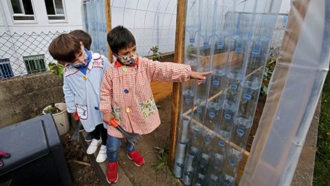 Voz Natura en el colegio Torre-Cela de Bueu