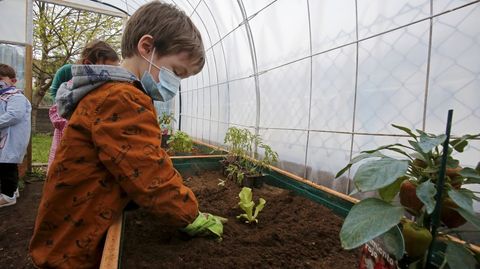 Voz Natura en el colegio Torre-Cela de Bueu