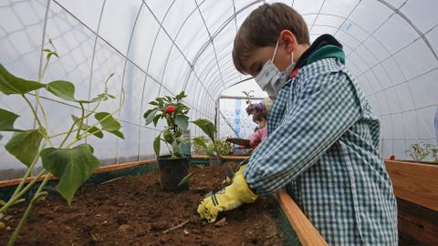 Voz Natura en el colegio Torre-Cela de Bueu