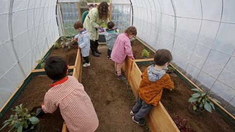 Voz Natura en el colegio Torre-Cela de Bueu