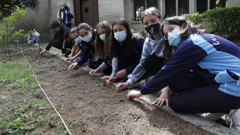 Os escolares teñen unha pequena zona do patio sementada con leitugas, pementos, pirixel e xirasoles