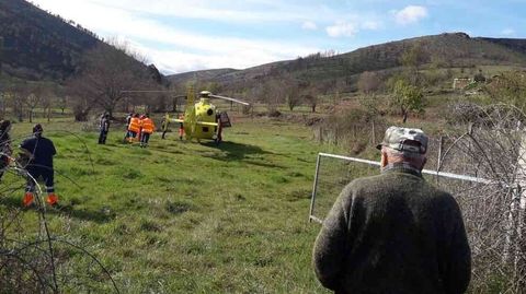 Evacúan a un vecino de O Seixo (A Gudiña) por picaduras de abejas