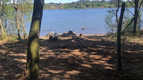 Estado en el que quedó la parcela donde estaba la chabola