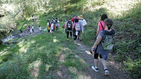Proyecto Voz Natura del CEIP Marcón en O Salgueiral, Bora