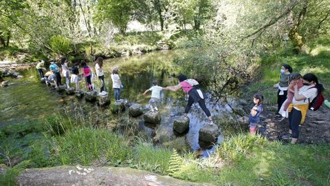Proyecto Voz Natura del CEIP Marcón en O Salgueiral, Bora