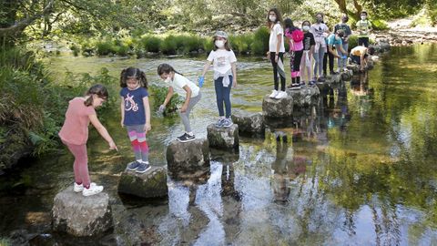 Proyecto Voz Natura del CEIP Marcón en O Salgueiral, Bora
