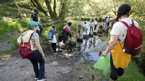 Proyecto Voz Natura del CEIP Marcón en O Salgueiral, Bora
