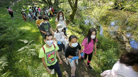 Proyecto Voz Natura del CEIP Marcón en O Salgueiral, Bora