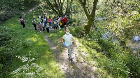 Proyecto Voz Natura del CEIP Marcón en O Salgueiral, Bora