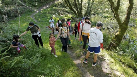Proyecto Voz Natura del CEIP Marcón en O Salgueiral, Bora