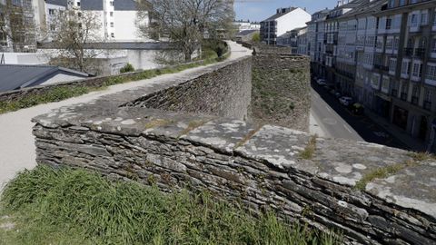 La hierba crece libre en los laterales del adarve