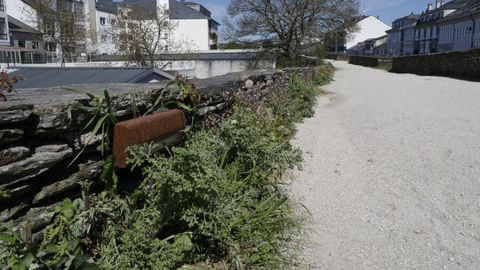 Algún foco está tapado por la vegetación