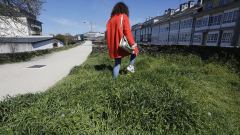 La hierba crece libre en algunos de los cubos, en el adarve