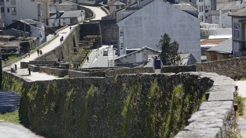 Los paramentos de la Muralla también necesitarían una limpieza