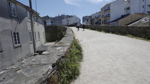 La hierba desluce la Muralla, que pierde así parte de su buena imagen