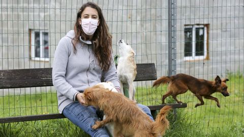 Yadira Tenreiro, en una imagen tomada en Castro, rodeada de cuatro de sus seis «perrhijos»