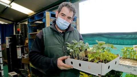 Venta de planta en Progrando