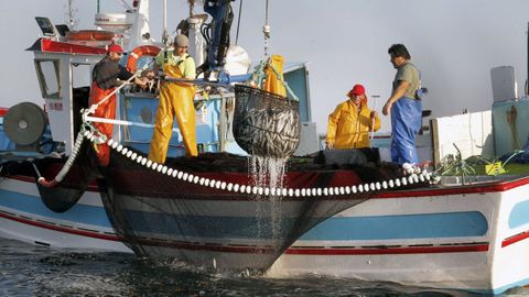 Un «xeiteiro» pescando sardina en la ría de Arousa, el pasado verano