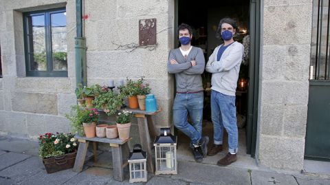 Floristería Índigo