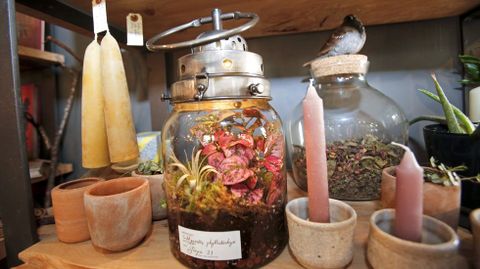 Floristería Índigo
