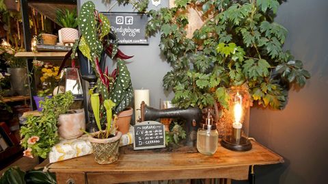 Floristería Índigo